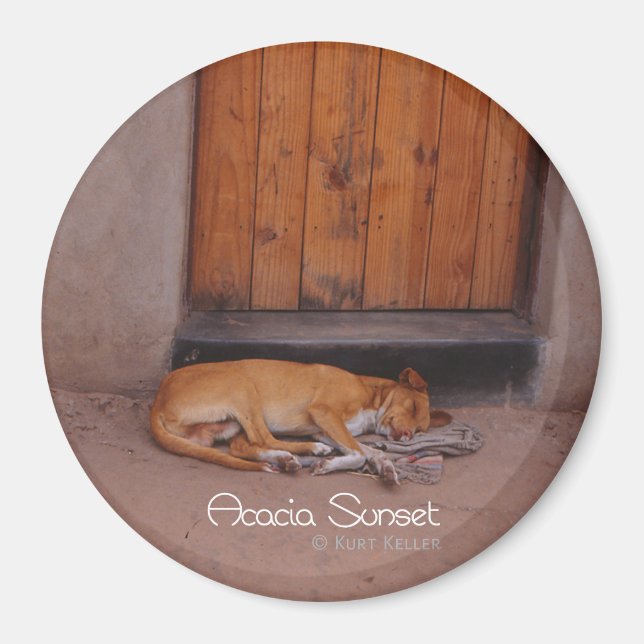 Dog at Rest Magnet (Front)