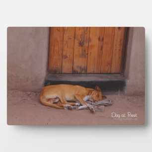 Dog at Rest Plaque
