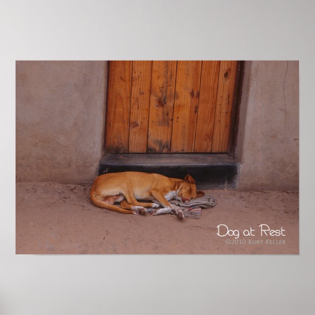 Dog at Rest Poster (Front)