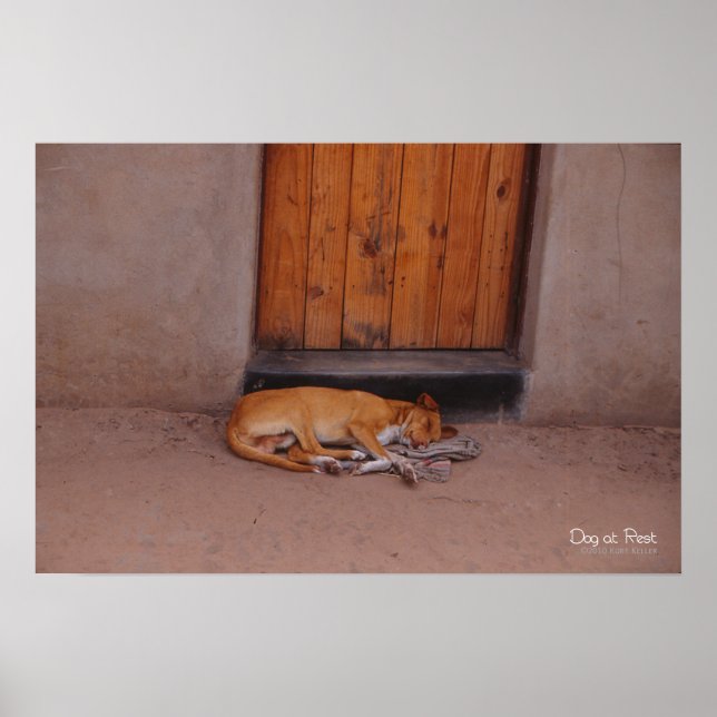 Dog at Rest Print and Poster (Front)