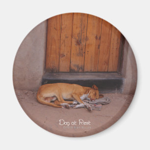 Dog at Rest Round Magnet