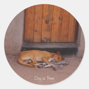 Dog at Rest Round Stickers