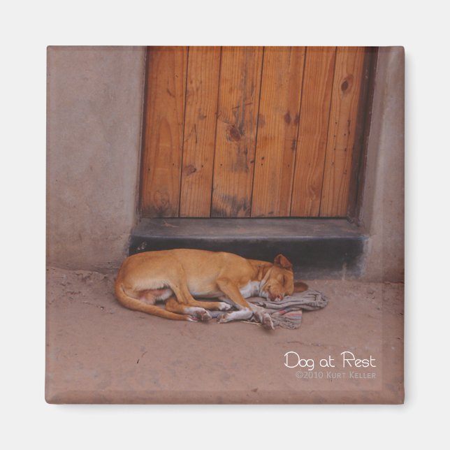 Dog at Rest Square Magnet (Front)