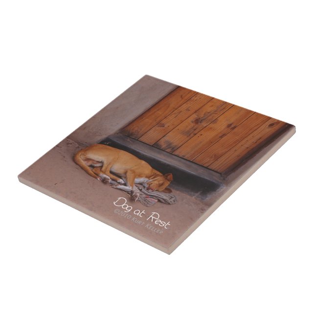 Dog at Rest Tile (Side)