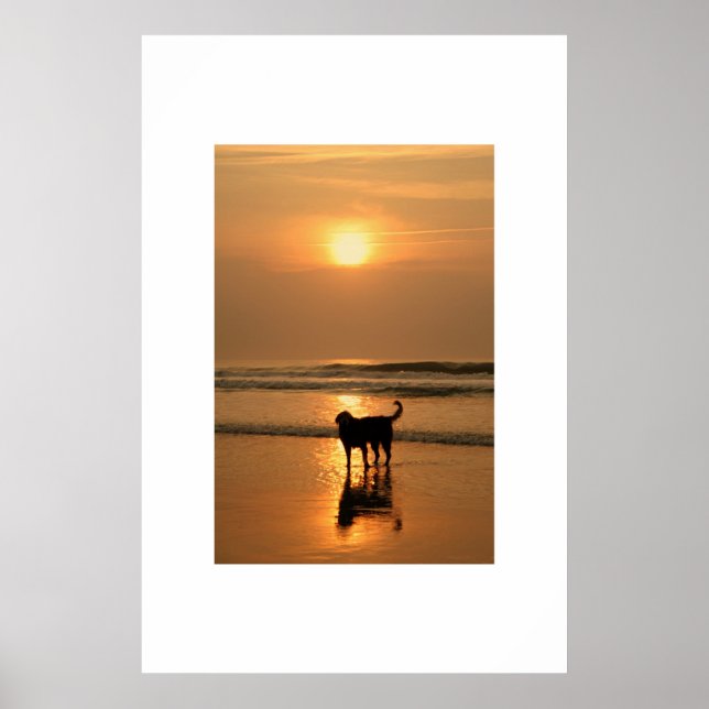 Dog at sunrise poster (Front)