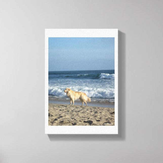 Dog At The Beach Canvas Print (Front)