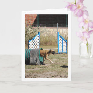 Dog at Training School Card