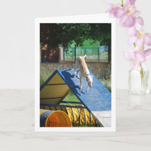 Dog at Training School Card