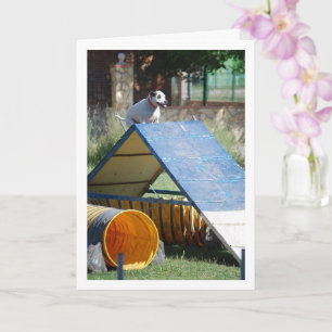 Dog at Training School Card