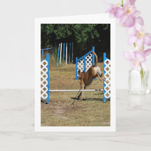 Dog at Training School Card