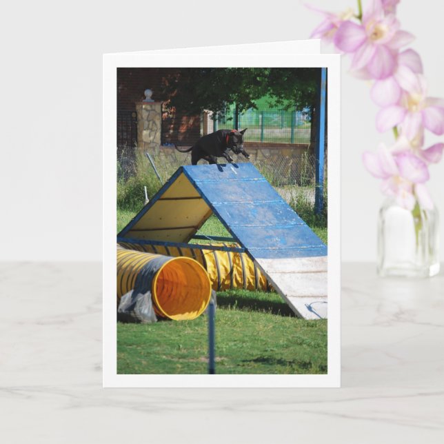 Dog at Training School Card (Orchid)