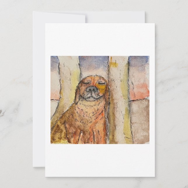 Dog Basking in the Sun Greeting Card (Front)