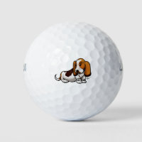 Dog - Basset Hound