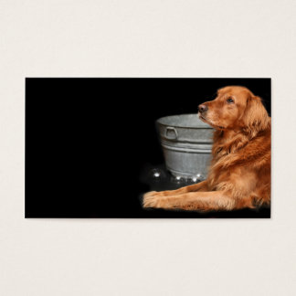 Dog bath
