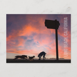 Dog Beach at Sunset - Long Beach, California Postcard
