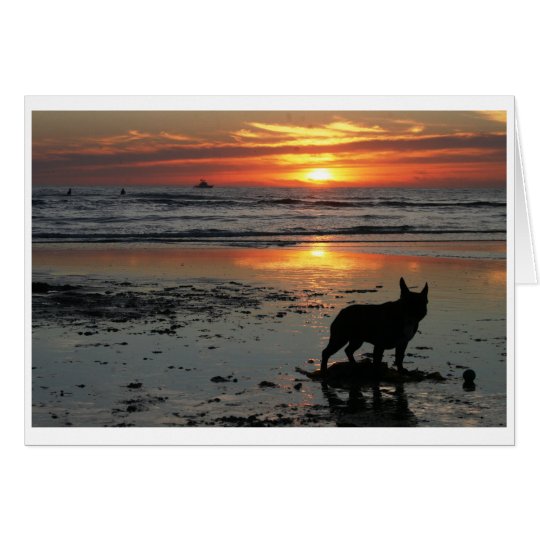 Dog Beach Card