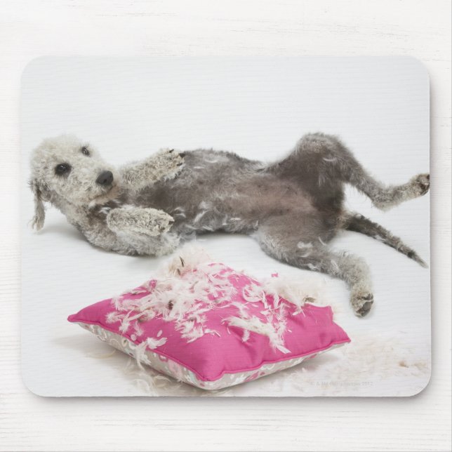 Dog behaviour training mouse mat (Front)