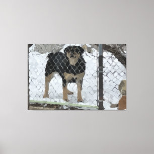 Dog Behind Fence Stretched Canvas Print