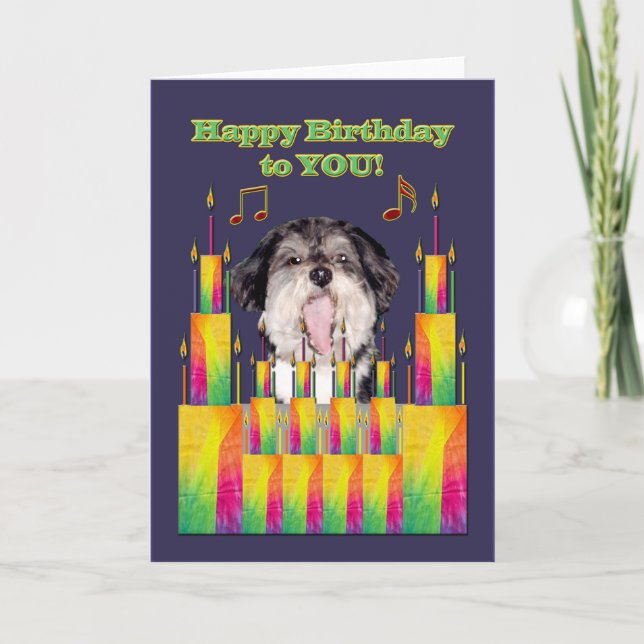 Dog Birthday Cakes Singing Card (Front)