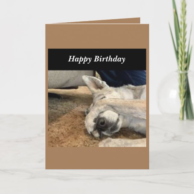Dog Birthday Card (Front)