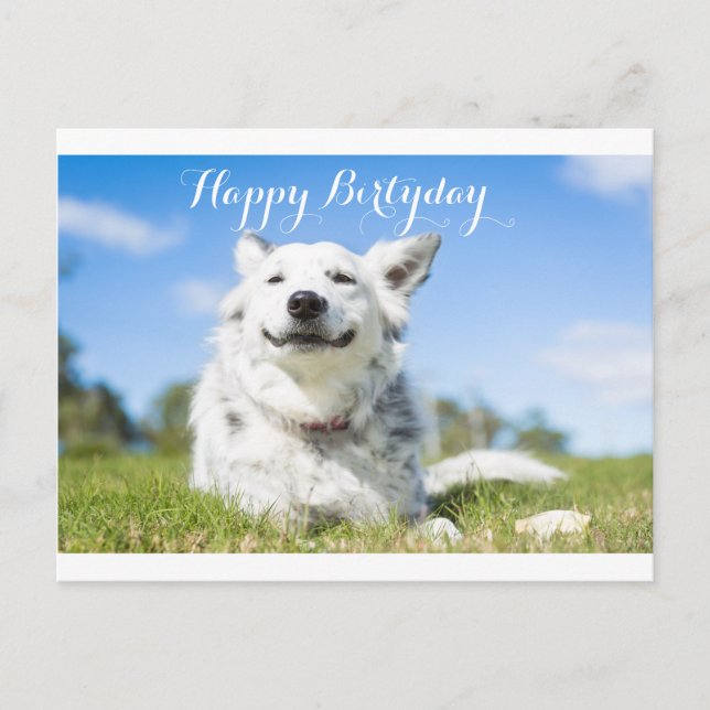 dog birthday card, customisable postcard (Front)