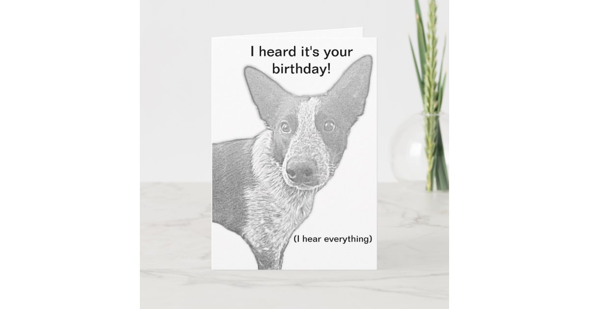 Dog Birthday Card Pun Zazzle.co.uk