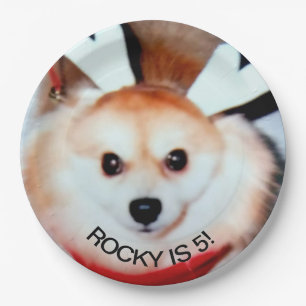Dog Birthday Party Custom Photo Paper Plate