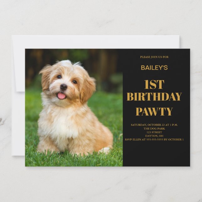 Dog Birthday Pawty Photo Invitation (Front)