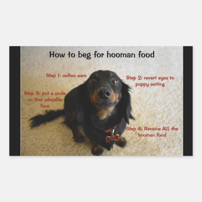 Dog Biscuit Cookie Treat Jar Label (Front)