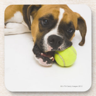 Dog biting tennis ball coaster