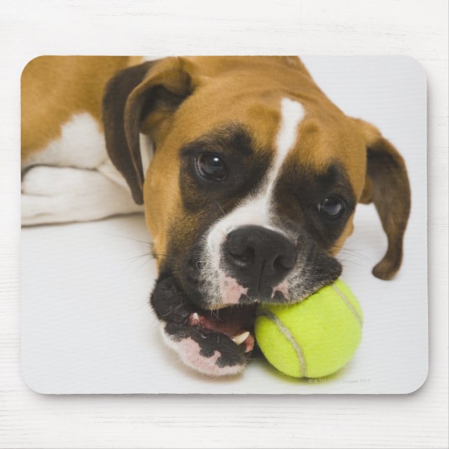 Dog biting tennis ball mouse mat (Front)