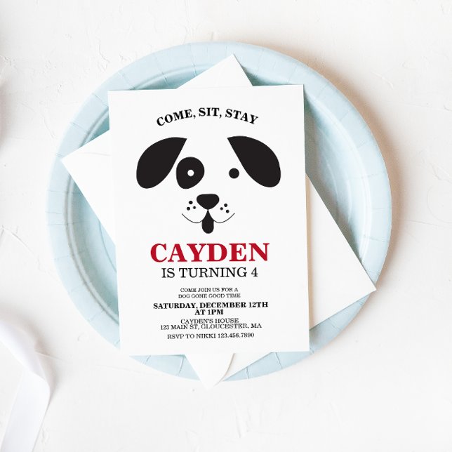 Dog black and white spot Birthday Invitation (Creator Uploaded)