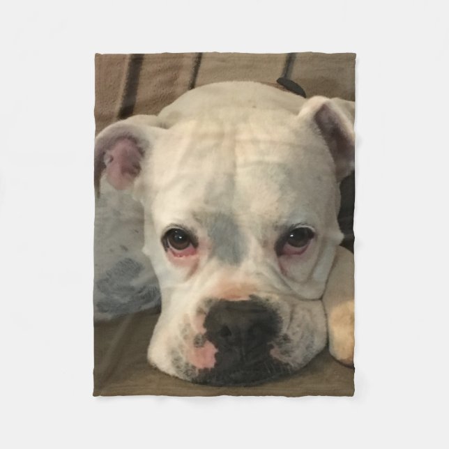 Dog Blanket (Front)