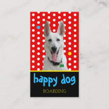 Dog Boarding Happy Dog Photo Kennel