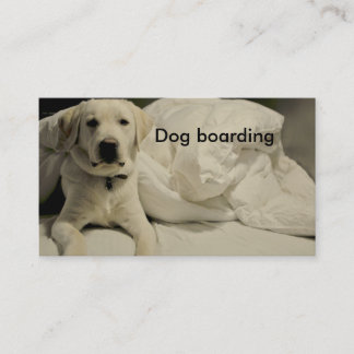 Dog boarding/kennel business card