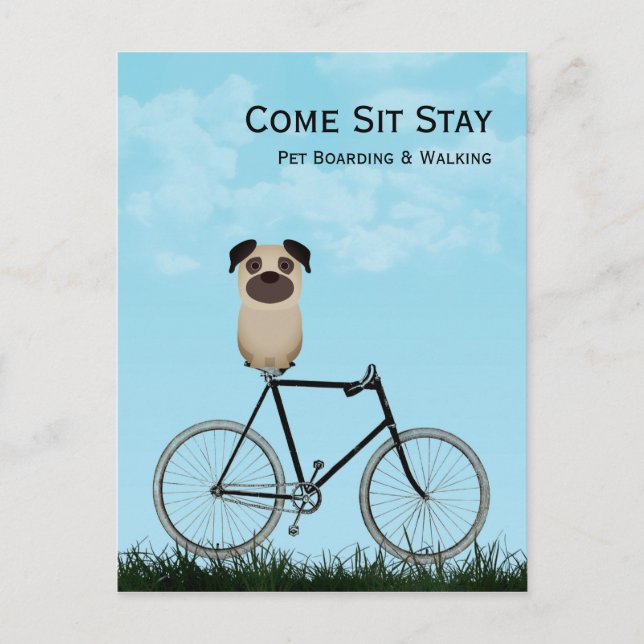Dog Boarding, Walking, Sitting, Training Business Postcard (Front)