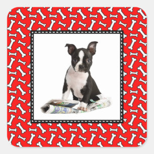 Dog Bone Christmas Red Photo Frame for Pet Photo Square Sticker