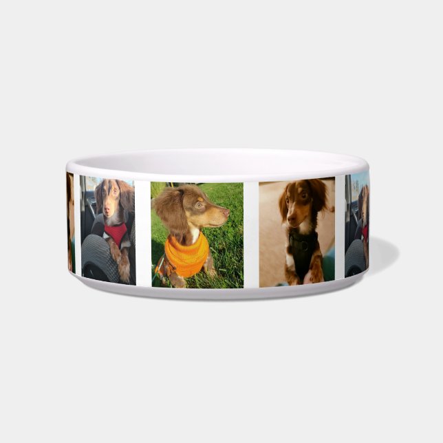 dog bowl (Front)