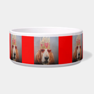 Dog Bowl Basset Hound King