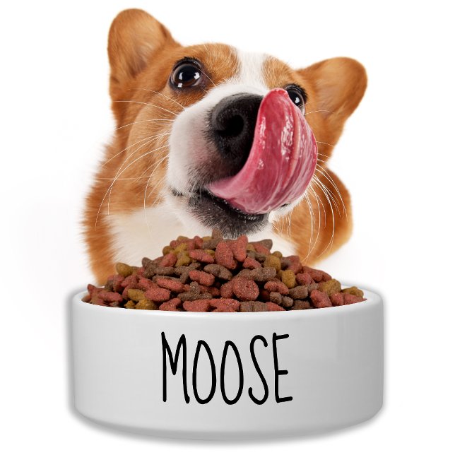 Dog Bowl - Rae Dunn Inspired Puppy Ceramic Dog (Creator Uploaded)