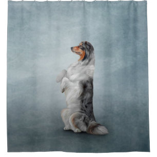Dog breed Australian Shepherd Shower Curtain