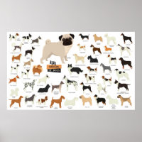 Dog Breed