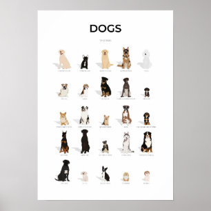 Dog Breeds Collection Poster