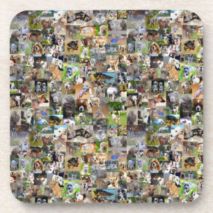 Dog Breeds Photo Collage,  Coaster