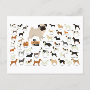 dog breeds postcard