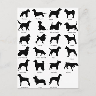Dog Breeds Postcard
