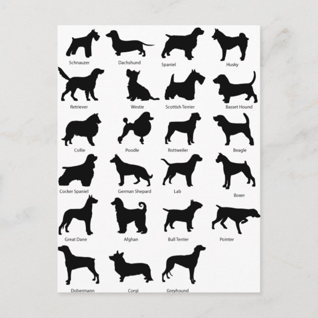 Dog Breeds Postcard (Front)