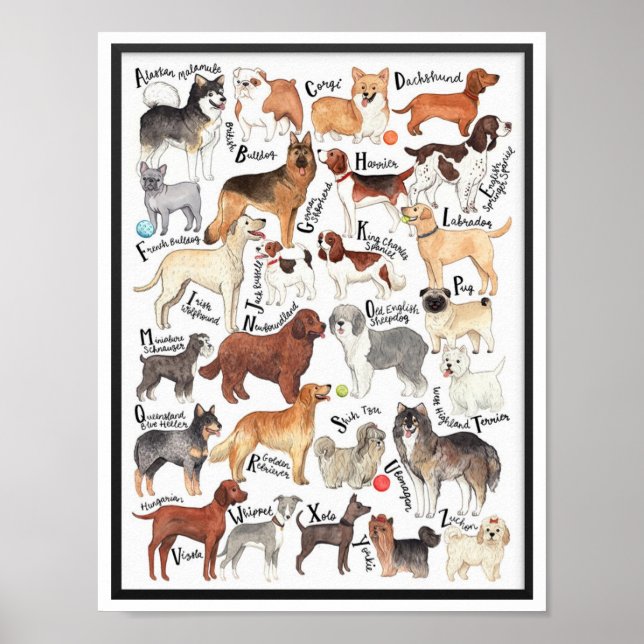 Dog Breeds Poster (Front)