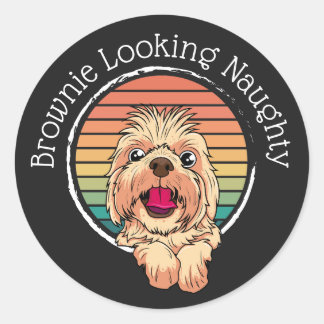 Dog Brownie Looking Naughty Classic Round Sticker