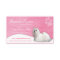 Dog Business Cards :: Maltese
